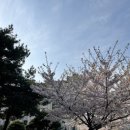 죽전로144번길 이미지