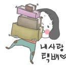 올바르개 이미지