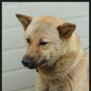 칠전농장 이미지