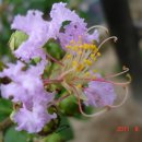 성남고등학교 이미지