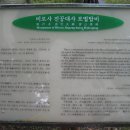 비로사진공대사보법탑비 이미지