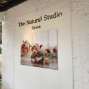 구룡달전로 | 대전 더 네츄럴 스튜디오 그린 본아트 촬영 후기