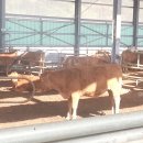 명성농장 이미지