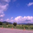 전곡농협하나로마트 이미지