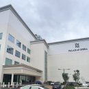 오페라뷔페 | 대전 신상 예식장 팔레드오페라 뷔페 전메뉴 후기