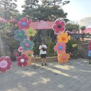 서울근교 봄꽃 명소 주말나들이 군포철쭉축제 실시간 후기
