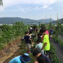 아화초등학교 이미지