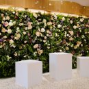 드도그카페 이미지