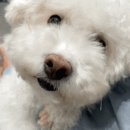 와일드 동물병원 이미지