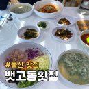 간절곶횟집 | 울산 서생면 간절곶 뱃고동횟집 봄 제철 도다리쑥국 개시 내돈내산 후기