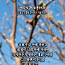 핸드폰 배경화면&잠금화면_20230205_요한복음 15장 7절_예수님과 소통하라_주현절 후 다섯 번째 주일 묵상_봄의 소통을 준비하는 이미지