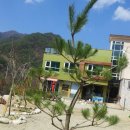 더덜하우스 이미지