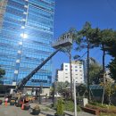 구로 대명벨리온 지식산업센터 | [전지작업]🌲 서울 구로구 대명벨리온 지식산업센터 정원 - 평택 한덕조경