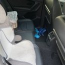 덴트칼라세차장 이미지