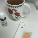 (주)의미있다 | 새해 첫 주 브리핑(자몽살구클럽 후기 및 최근 관심사)