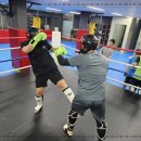 비노짐킥복싱 이미지