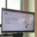 피트니스 마주 | 피트니스 마주 개인 PT 후기 / 권홍 트레이너에게 운동을 다시 배우다[피트니스 마주, 양주 헬스장...