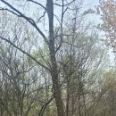 구인당약국 이미지