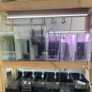 벨리타 | 부산 열대어 부산수족관 벨리타 방문후기