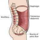 하이엔드 독 | [마린시티 필라테스] 고관절 통증 개선 필라테스 레슨 후기 (B/A)