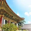 덕영농장 이미지