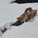 도안휴게소 | 겨울 나고야 시라카와고 2박 3일 여행 후기