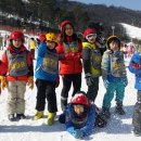 청호태권도 이미지