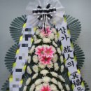 행림병원 이미지