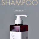 샴푸호텔 이미지