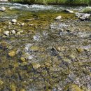 돌멩이 펜션 이미지