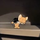 빙상장 브릿지하부 화장실 | 상일동역 물리치료사 재활 운동 '리해브 바이 피지오 서울 고덕' 피지오 수업 후기