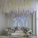 댕집 | W01. 청주 웨딩홀 상담 및 계약 후기