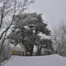 태백산맥길 네이버블로그