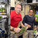 우주농장 이미지