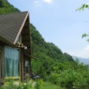 평창들꽃 이미지