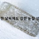 관설타이어 이미지