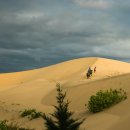 해변호스텔 이미지