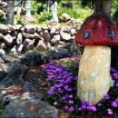 힐링카약파크비체올린 이미지