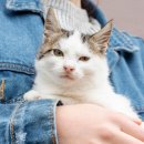 방학동물병원 이미지