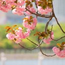 미사경정공원 이미지