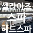 셀라이즈스파