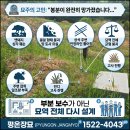 연천 단장1기묘지사초- 묘역의 놀라운 묘지조성 변화ㅣ 묘지복원-봉분조성 전후 묘역 중간점검 이미지