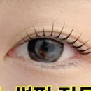 디어마이 네이버블로그