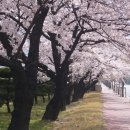 창원대로 이미지