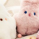 포푸리 이미지