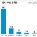 아로니아의 효능//기적의 열매 아로니아의 효능 이미지