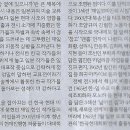요리사국수 네이버블로그