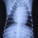 프라하동물병원 이미지