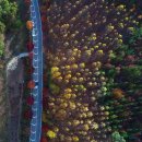 운장산자연휴양림 이미지