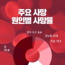 이박사약국 이미지